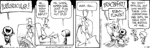 05-11-28 Non Sequitur